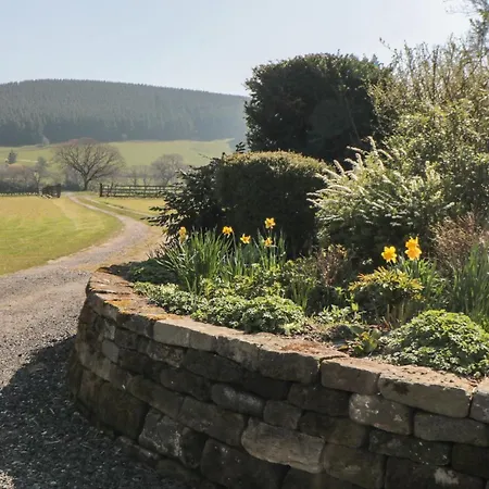 Rosedale * ويتبي