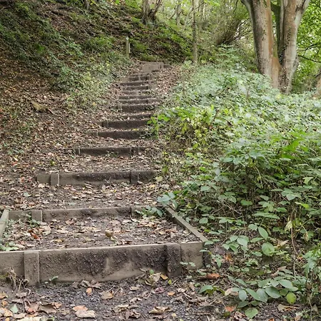 بيت للعطل Rosedale ويتبي