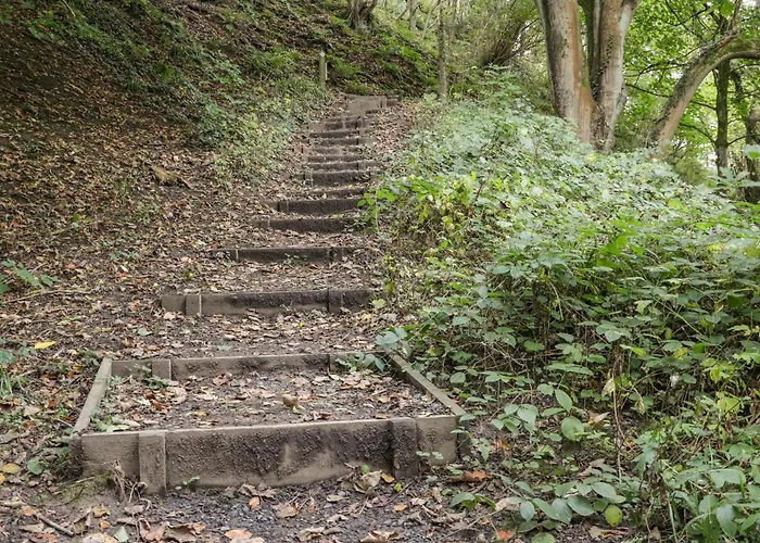 Dom wakacyjny Rosedale Whitby